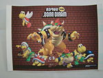 Strijkpatroon  Mario Bros iron on figure