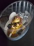 Donkey Kong Pull Back Kart Figurine  -  Pvc Pull back cart 12 x 9 cm groot