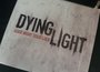 Dying Light Statue boxed