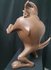 Taz - The tasmanian Devil Standing Tall 56cm Leblon Delienne 1997 - Original Warner Bros Looney Tunes groot Beeld