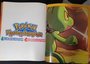 Pokémon Mystery Dungeon Official Pokemon Strategy Game Guide bonus poster Inside 