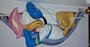 Donald Duck in Hammock Walt Disney Cartoon Comic collectible Retired sculpture Boxed