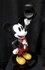 master craft mickey