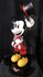 disney mickey mouse