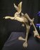 Wile Coyote Classic Warner Bros Looney Tunes Cartoon Comic Fig extremely Rare 