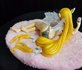 Sexy Girl Lying Big Boobs Manga Sexy Action Figurine - Anime Pvc Action Figurine No Box